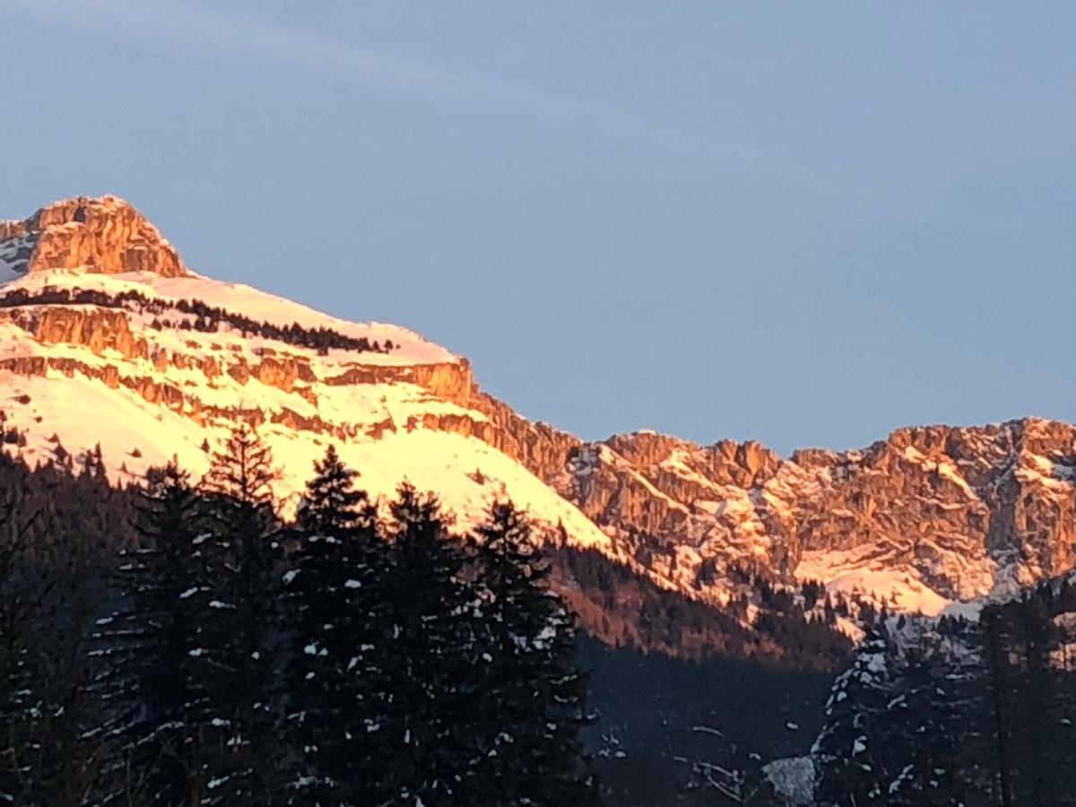 Cretes Du Vercors Vue Magnifique Виллар-де-Ланс Экстерьер фото
